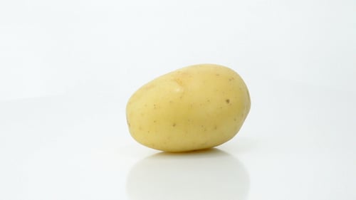 Simple Potato on White Background