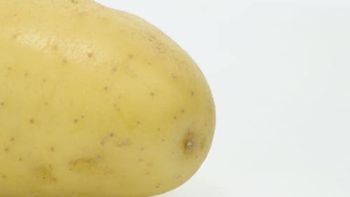 Close Up of a Raw Potato on White
