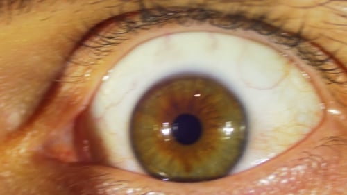 Extreme Close Up of Human Eye Looking Around