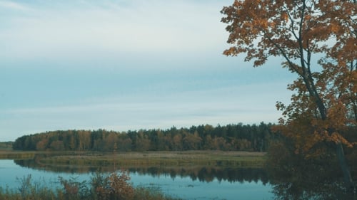 Autumn Scenery On The Pond. The Tranquility And Balance. Autumn Colors.