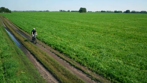 AERIAL: Young Man Cycling On Bicycle At Rural Road Through Green And Yellow Field.