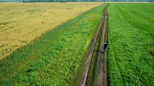 Man Jogging on Dirt Path in Rural Landscape