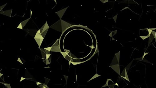 Plexus Digitales Netzwerk