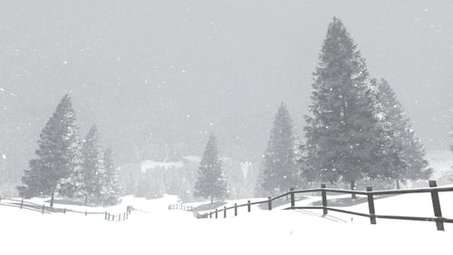 Walking in Snow