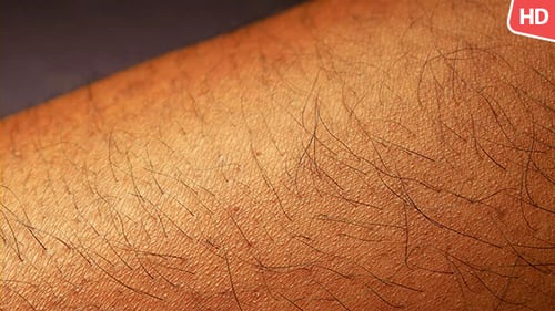 Macro Shot of Skin and Hair