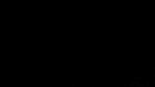 Animated Grunge Grainy Noise Texture Overlay