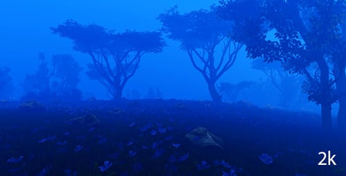 Forêt nocturne dans les montagnes