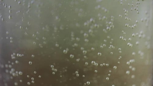 Bubbles Rising in Clear Liquid, Close Up