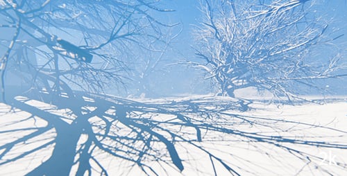 Winterlicher Wald