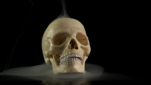 Horrible skull in the smoke for halloween.