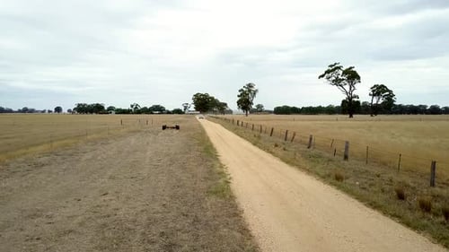 Low flying front shot of lonesome pickup truck driving on desolate dusty country road.