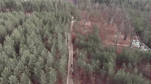Group of cyclists ride on bicycles in forest. Cycling on the park