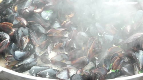 Mussels In Their Shells Cooked In The Pan On The Fire, The Food Is Prepared On The Street, Seafood