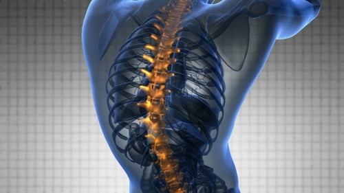 Backache In Back Bones