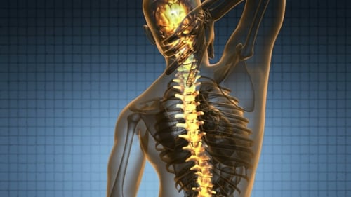 Medical Animation: Glowing Human Spine and Nervous System