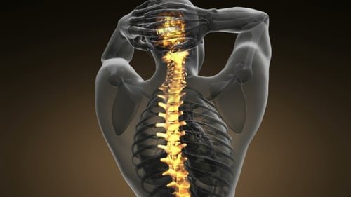 Glowing Human Spine Anatomy 3D Medical Animation