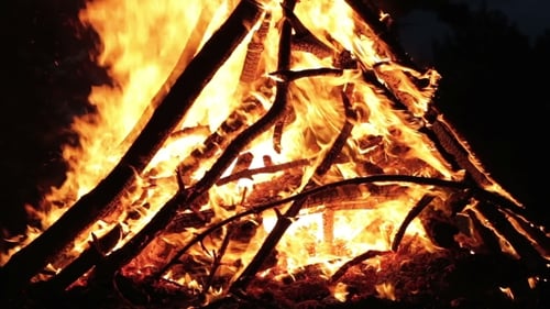 Campfire In The Night