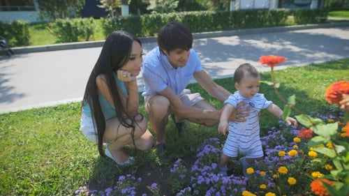 Family Enjoys Flowers in Sunny Urban Park