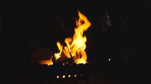 Camp Fire in the Night