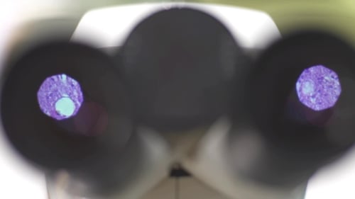 The Cell Tissue Under a Microscope