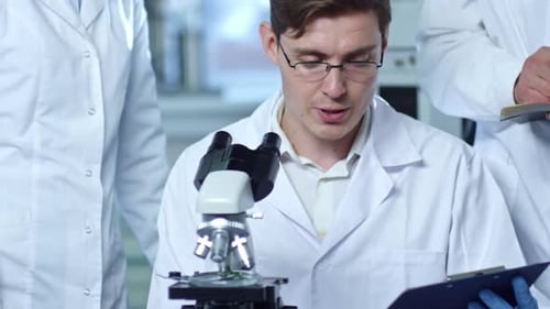 Scientists Work Together in the Lab with Microscopes