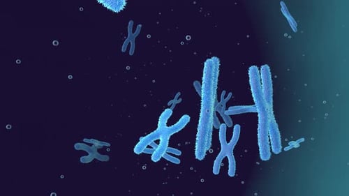 Animation of floating Chromosomes