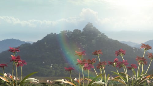 Fleurs de montagne