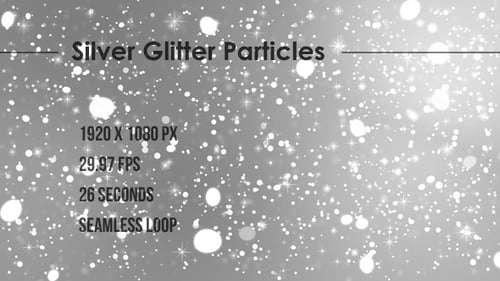 Silver Glitter Particles