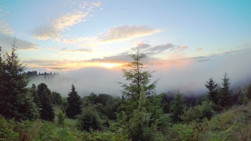 Mountains and Trees at Sunset with Rolling Fog