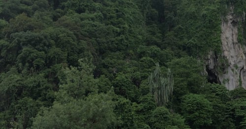 Vues de montagnes vertes et d'une statue de Murugan dans les grottes de Batu