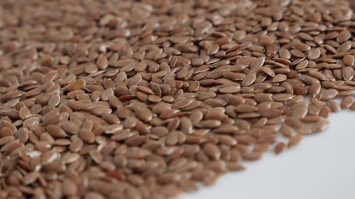 Shallow DOF flax Linum usitatissimum close-up 4K footage