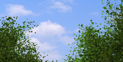 Ast vom Baum