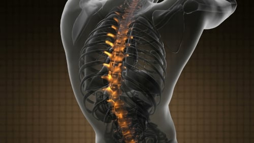 3D Medical Animation: Glowing Spine in Human Body