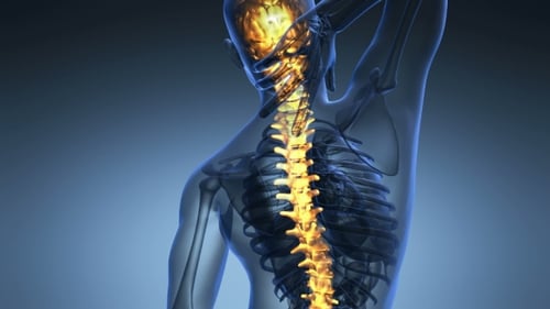 Backache In Back Bones