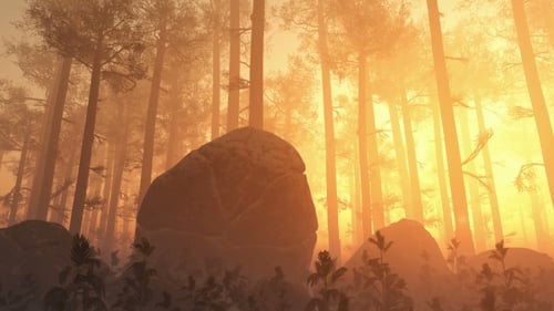Sunrays Shining Through The Trees