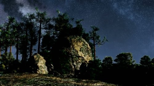 Milky Way Galaxy Twinkles Over Forest and Rocks Night Sky