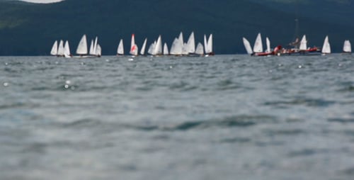 Sailing Boats