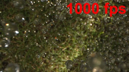 Wassertropfen
