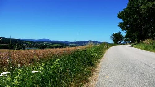 Straße auf dem Land zwischen Wald und Feld - Sunny Day