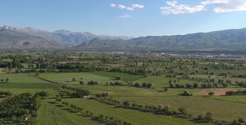 Field