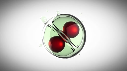 Rotate Cell Division