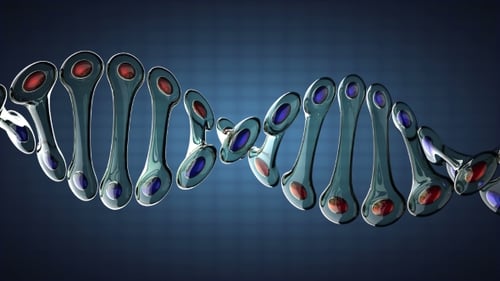 DNA Model Rotate