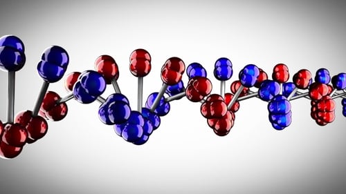 DNA-Modell rotieren