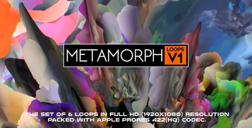 Metamorph Loops, volumen 1 (paquete de 6)