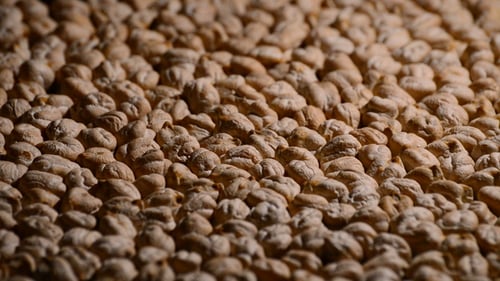 Pile of Dried Chickpeas Close-Up Food Footage