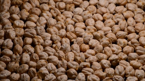 Close up of a large group of chickpeas