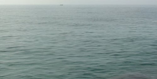 The Quiet Sea