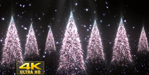 Sparkling Christmas Trees with Falling Stars Loop Background Animation