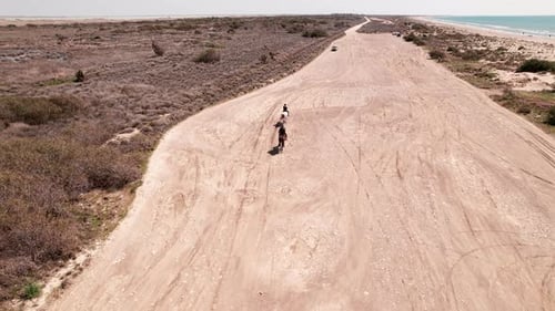 People on a Horse Riding Walk