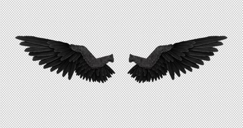 Black Angel Wings With An Alpha Channel